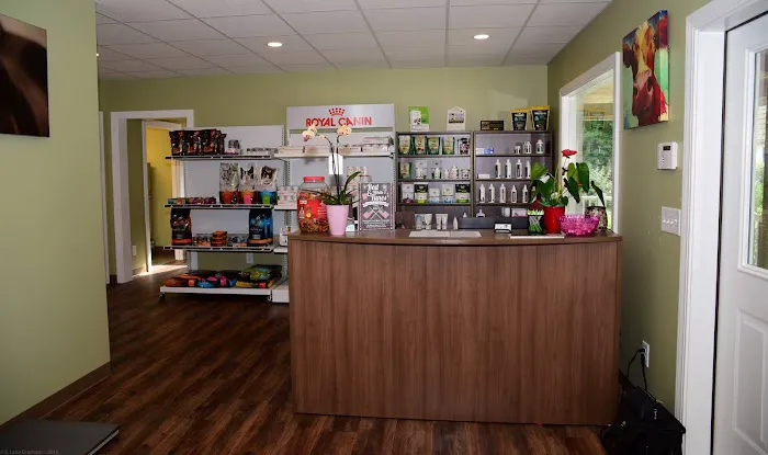 Cornerstone Animal Hospital Picture 8