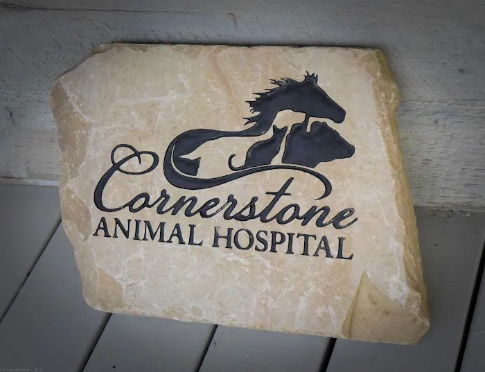 Cornerstone Animal Hospital Picture 2