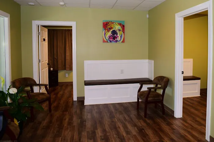 Cornerstone Animal Hospital Picture 4