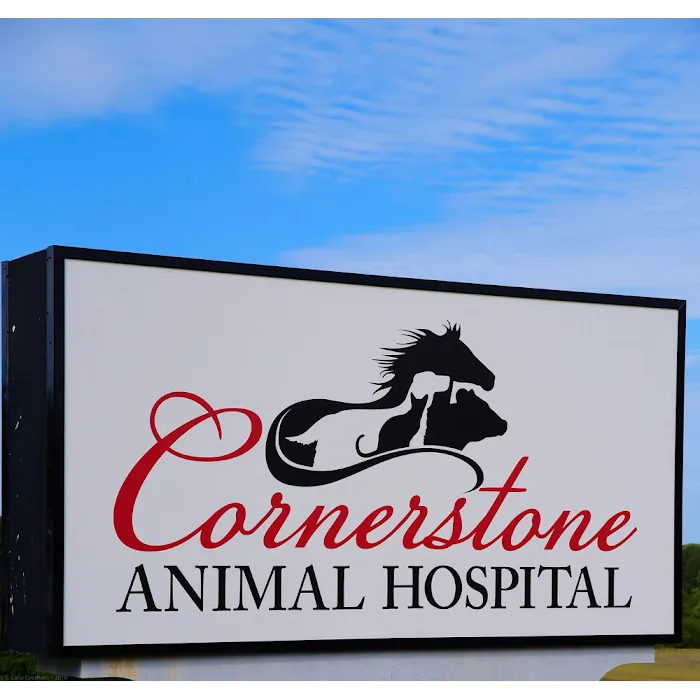Cornerstone Animal Hospital Picture 10