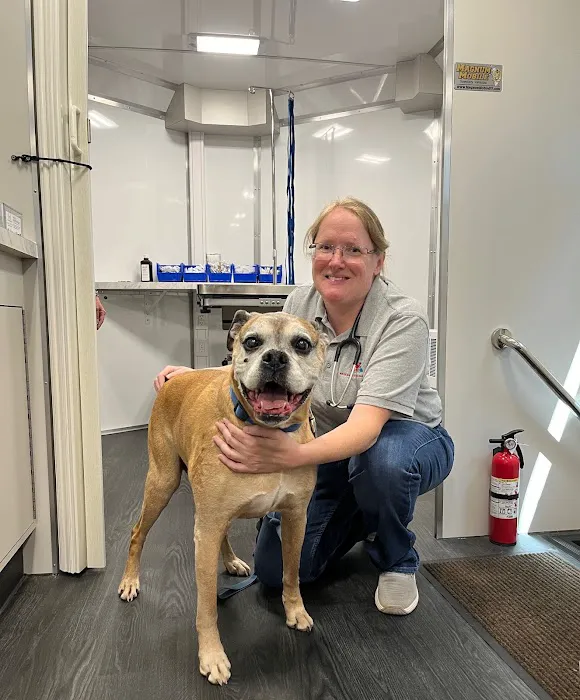 Primary Veterinary Care Picture 4