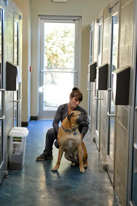 Atlantic Animal Hospital and Pet Care Resort Picture 3