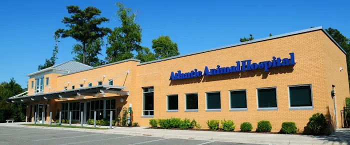 Atlantic Animal Hospital and Pet Care Resort Picture 1