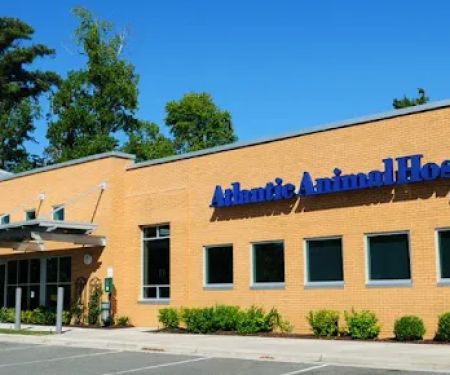 Atlantic Animal Hospital and Pet Care Resort