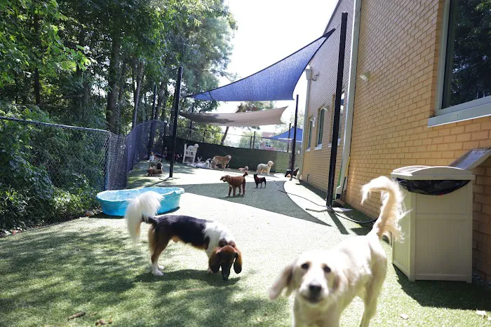 Atlantic Animal Hospital and Pet Care Resort Picture 9