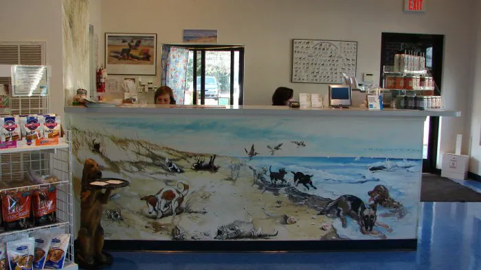 VCA Wrightsville Beach Animal Hospital Picture 7