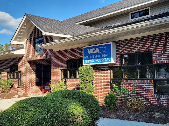 VCA Wrightsville Beach Animal Hospital Picture 1