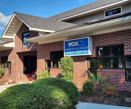 VCA Wrightsville Beach Animal Hospital