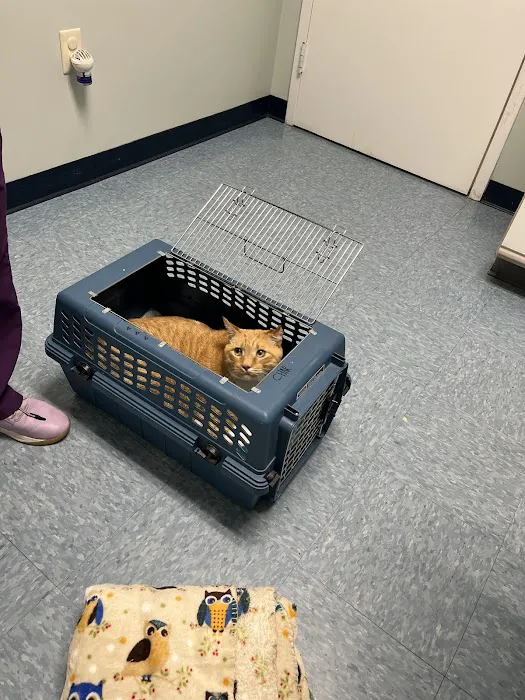 VCA Wrightsville Beach Animal Hospital Picture 5