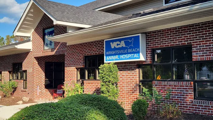 VCA Wrightsville Beach Animal Hospital Picture 3