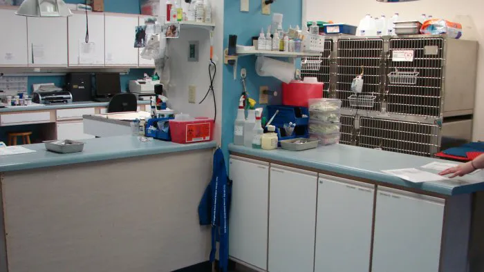 VCA Wrightsville Beach Animal Hospital Picture 2