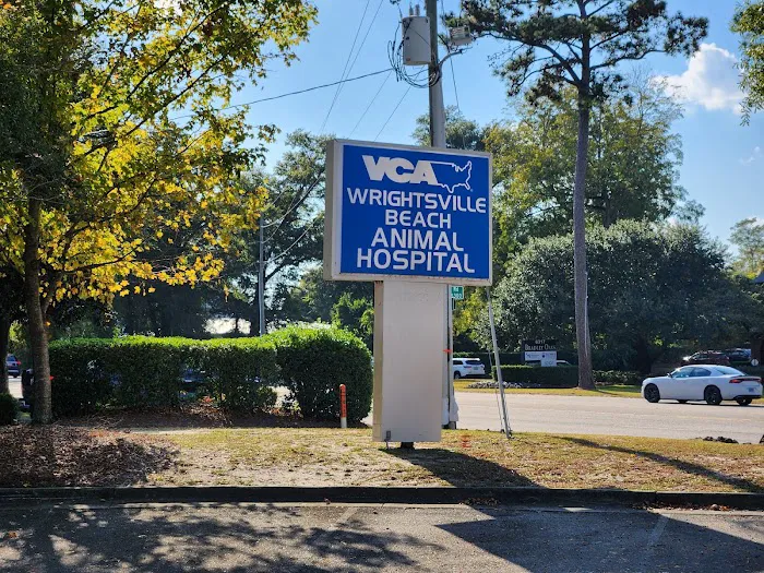 VCA Wrightsville Beach Animal Hospital Picture 10