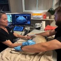 Carolina Veterinary Mobile Radiology Inc ico