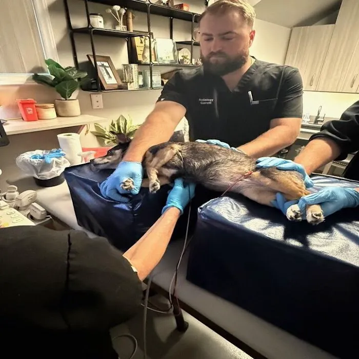 Carolina Veterinary Mobile Radiology Inc Picture 8