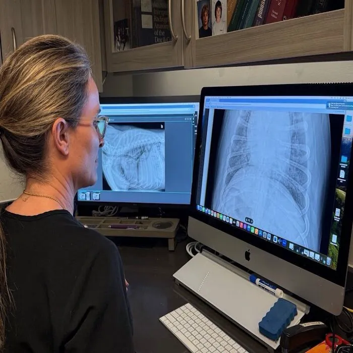 Carolina Veterinary Mobile Radiology Inc Picture 5