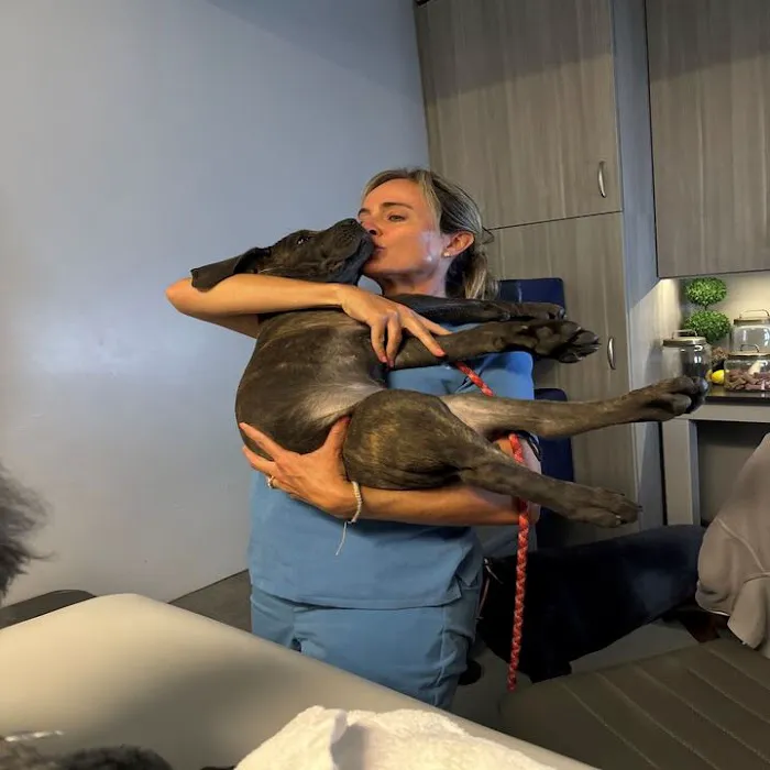 Carolina Veterinary Mobile Radiology Inc Picture 6