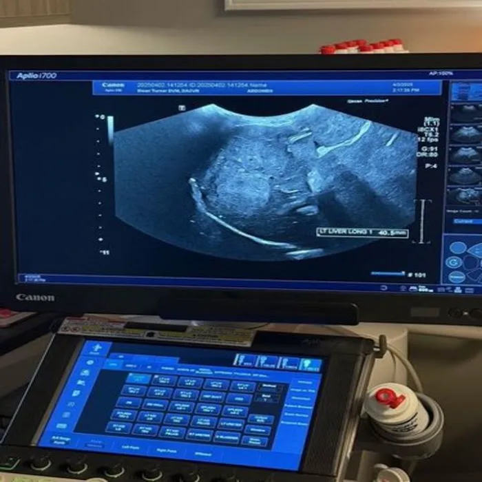 Carolina Veterinary Mobile Radiology Inc Picture 7