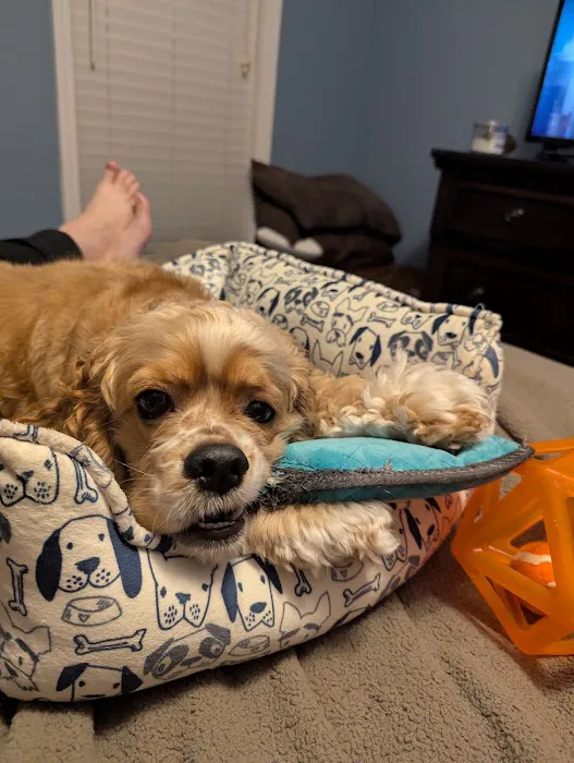 Leonard-Sykes Hospital for Pets Picture 1