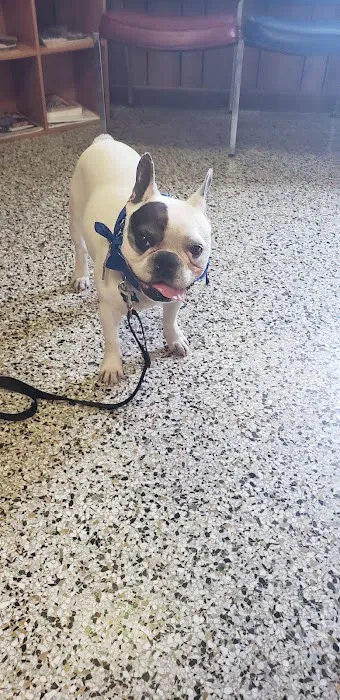 Leonard-Sykes Hospital for Pets Picture 10