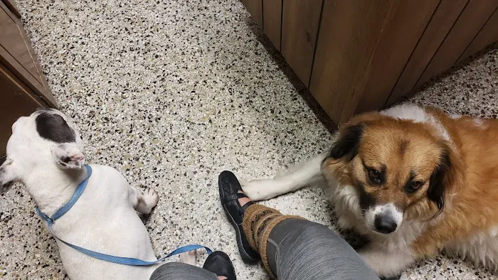 Leonard-Sykes Hospital for Pets Picture 9