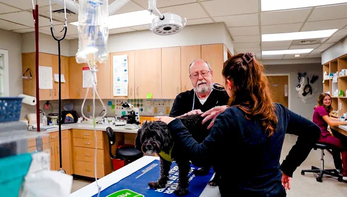 Floral Parkway Animal Hospital Picture 9