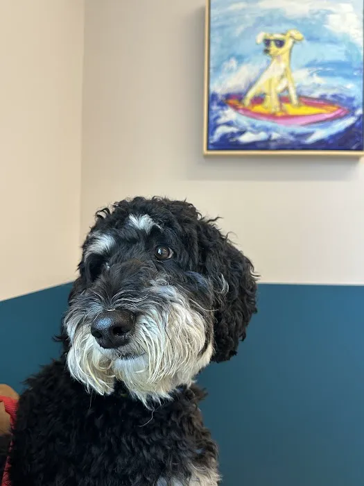 Truss Vet - Veterinary Urgent Care Picture 1