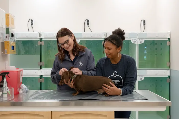 Truss Vet - Veterinary Urgent Care Picture 4