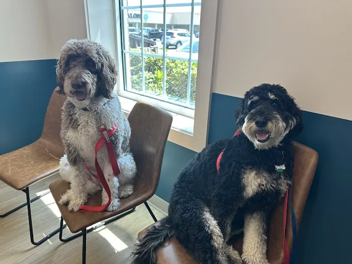 Truss Vet - Veterinary Urgent Care Picture 3