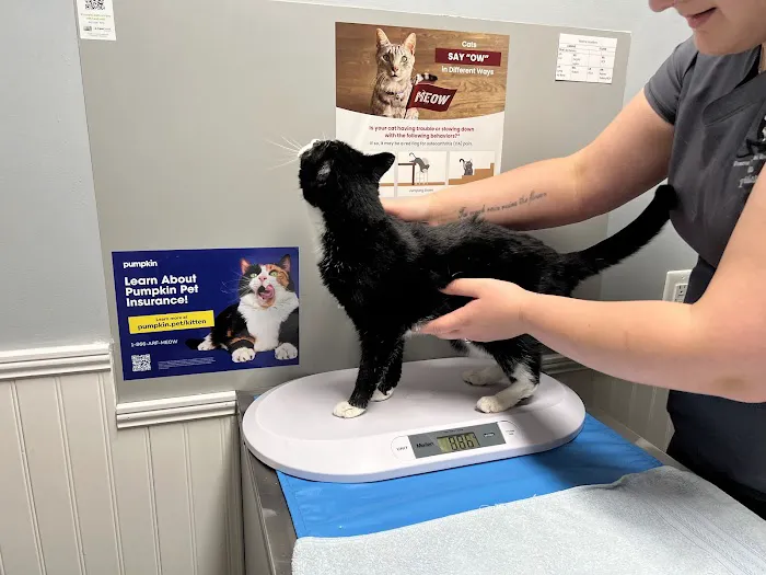 Hanover Regional Animal Hospital Picture 3