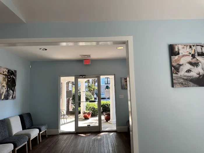 Whole Pet Veterinary Hospital - Wilmington Picture 1