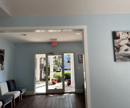 Whole Pet Veterinary Hospital - Wilmington