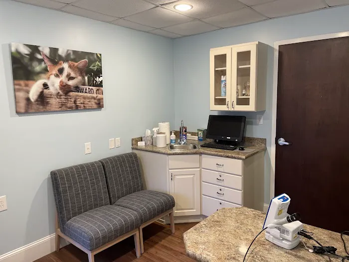 Whole Pet Veterinary Hospital - Wilmington Picture 3