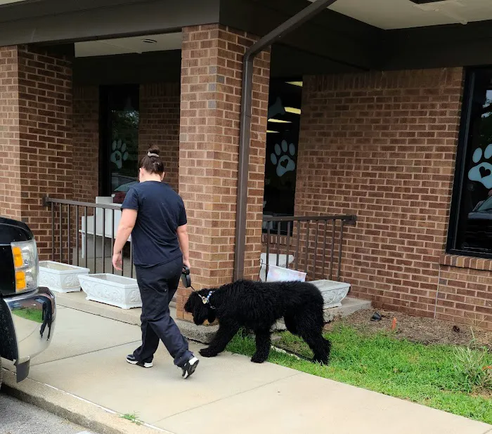 Animal Care Clinic Picture 7
