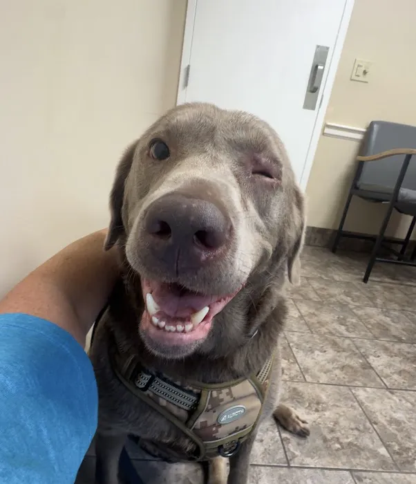 Animal Care Clinic Picture 3