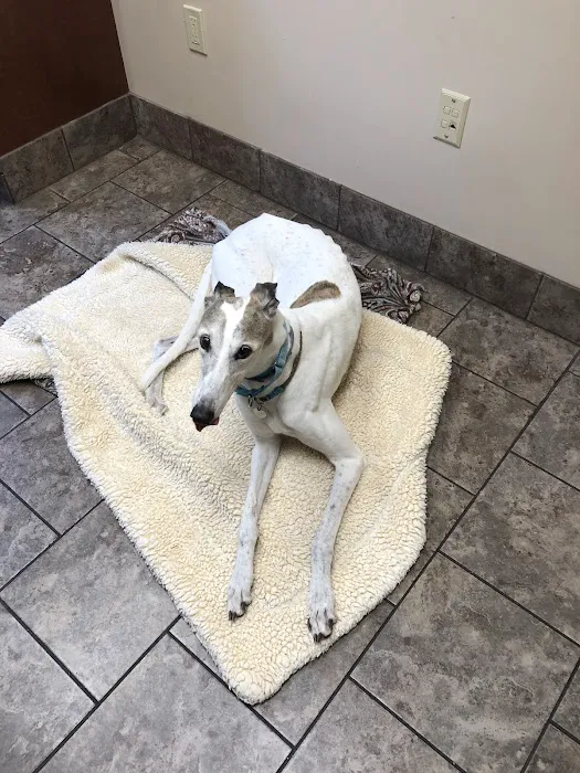 Animal Care Clinic Picture 4