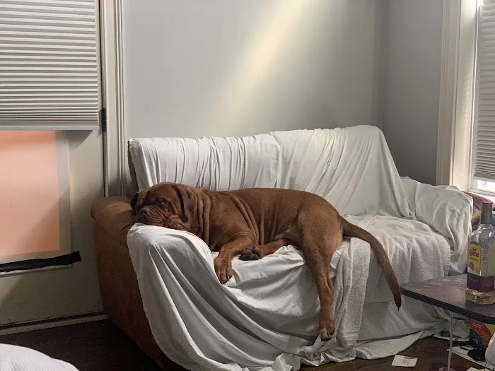 Animal Care Clinic Picture 8