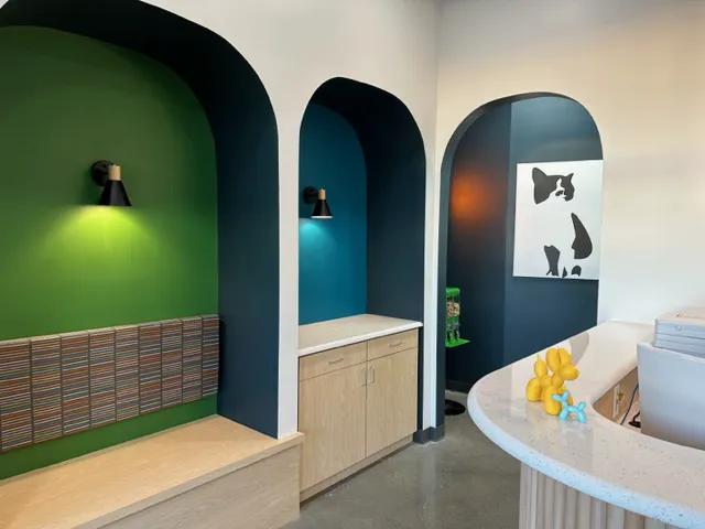 Blue Paw Primary Pet Care Picture 3