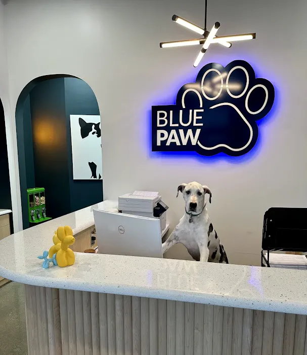 Blue Paw Primary Pet Care Picture 9