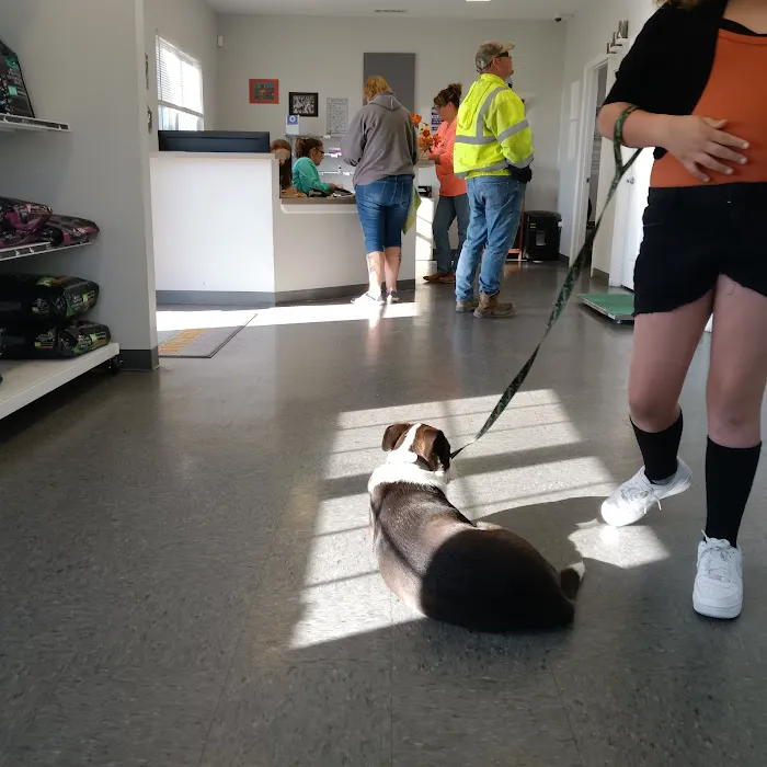 Rising Sun Veterinary Clinic Picture 9