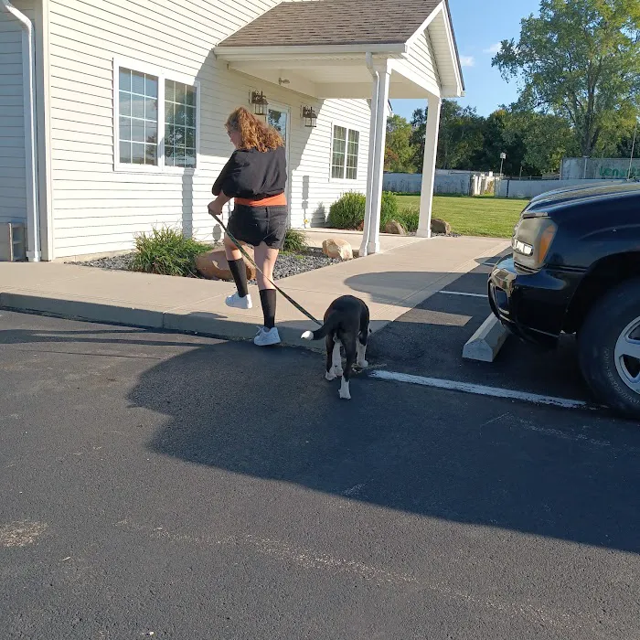 Rising Sun Veterinary Clinic Picture 8