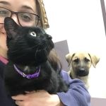 Animal Clinic At Equestrian Woods