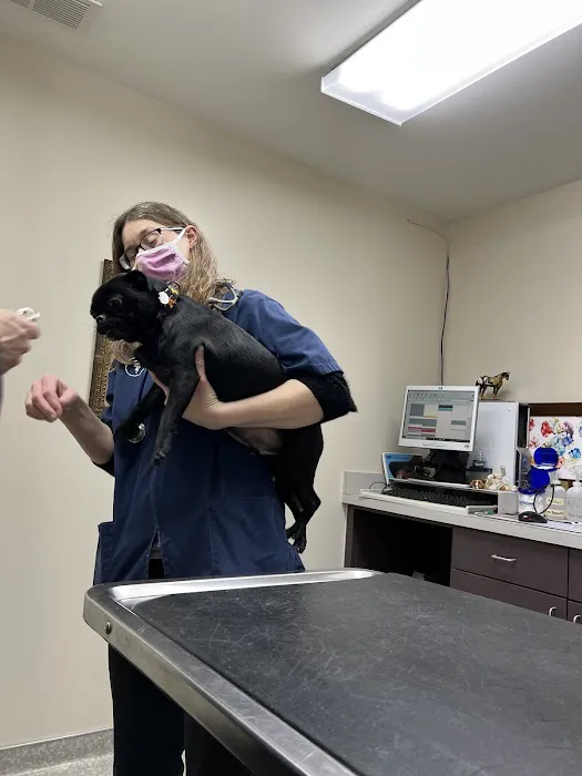 Animal Clinic At Equestrian Woods Picture 6