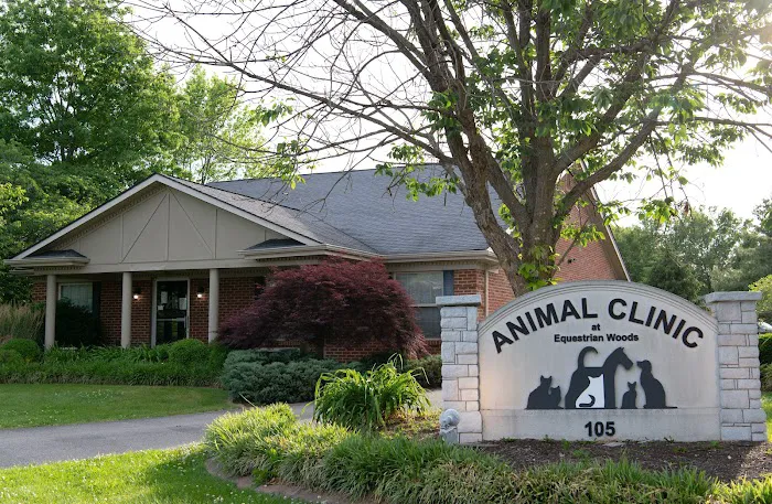 Animal Clinic At Equestrian Woods Picture 7