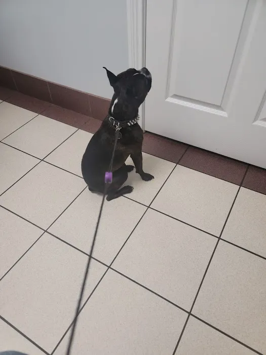 Animal Medical Center Picture 4