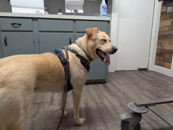 Frankfort Veterinary Clinic Picture 7