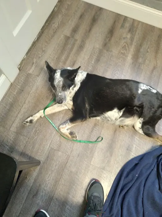 Frankfort Veterinary Clinic Picture 1