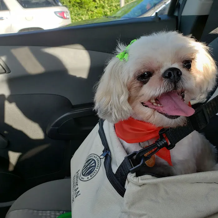Frankfort Veterinary Clinic Picture 9