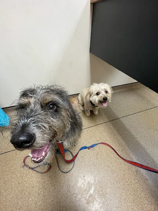 Frankfort Animal Clinic Picture 8