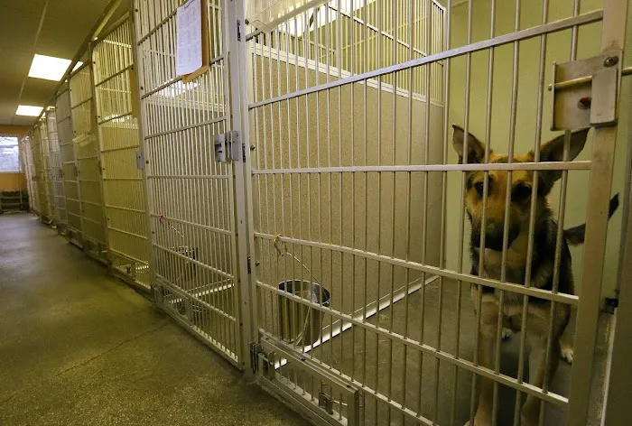 Frankfort Animal Clinic Picture 6
