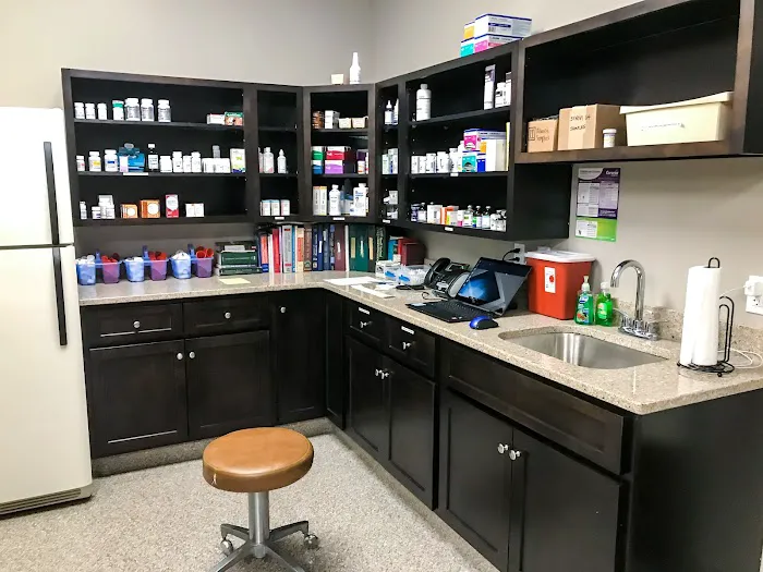 All Pets Veterinary Clinic Picture 10